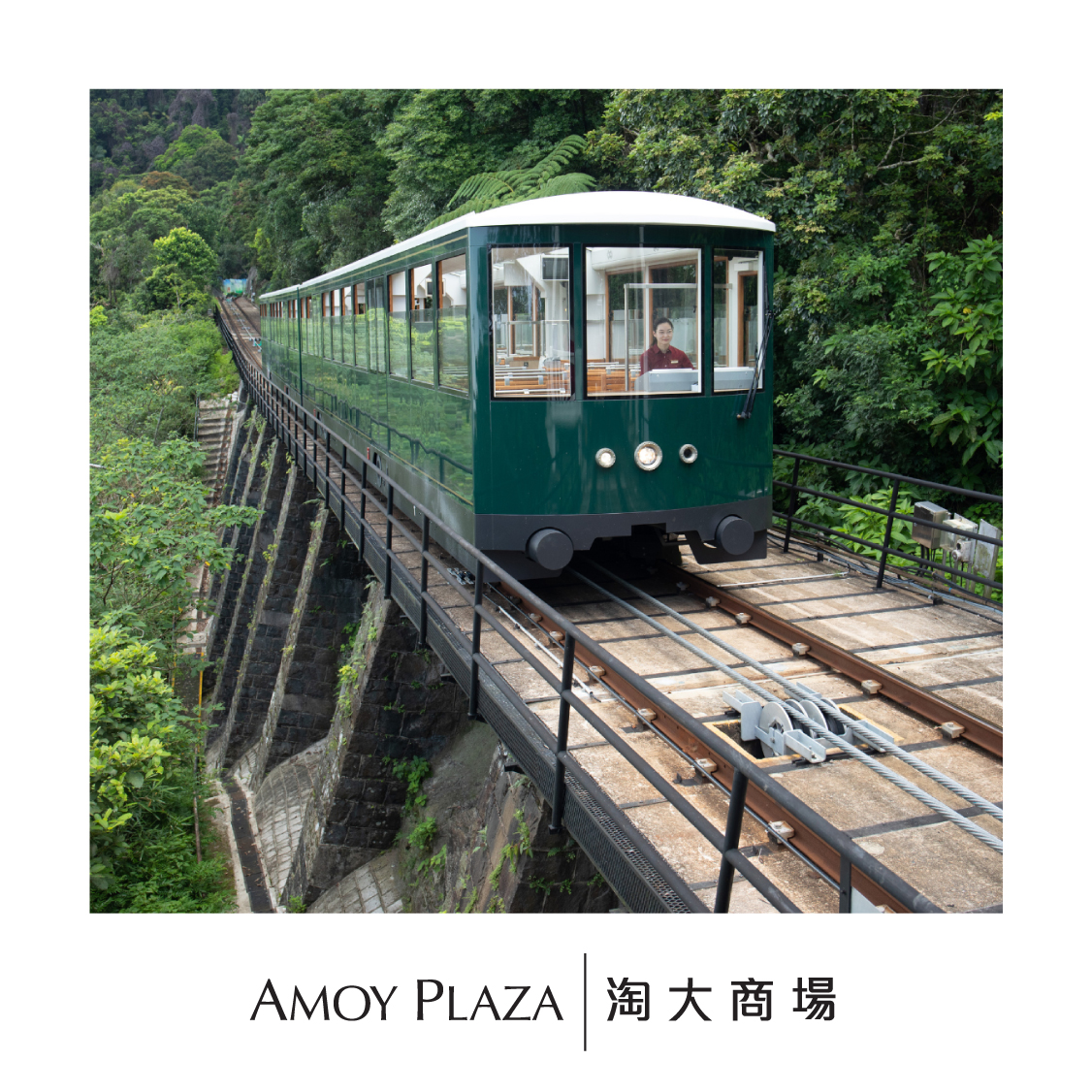 (淘大商場) 山頂纜車(單程)車票(1張) 電子換領券