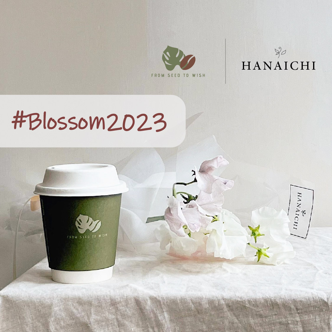 From Seed To Wish X Hanaichi Flower - Pop Up Flower Store
