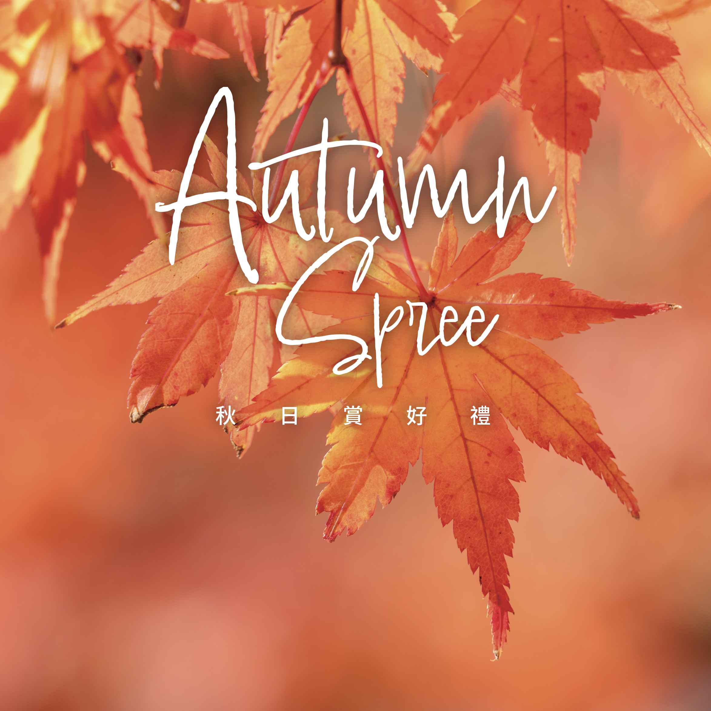 Autumn Spree — Savor, shop and earn up to HK$340 Rewards!