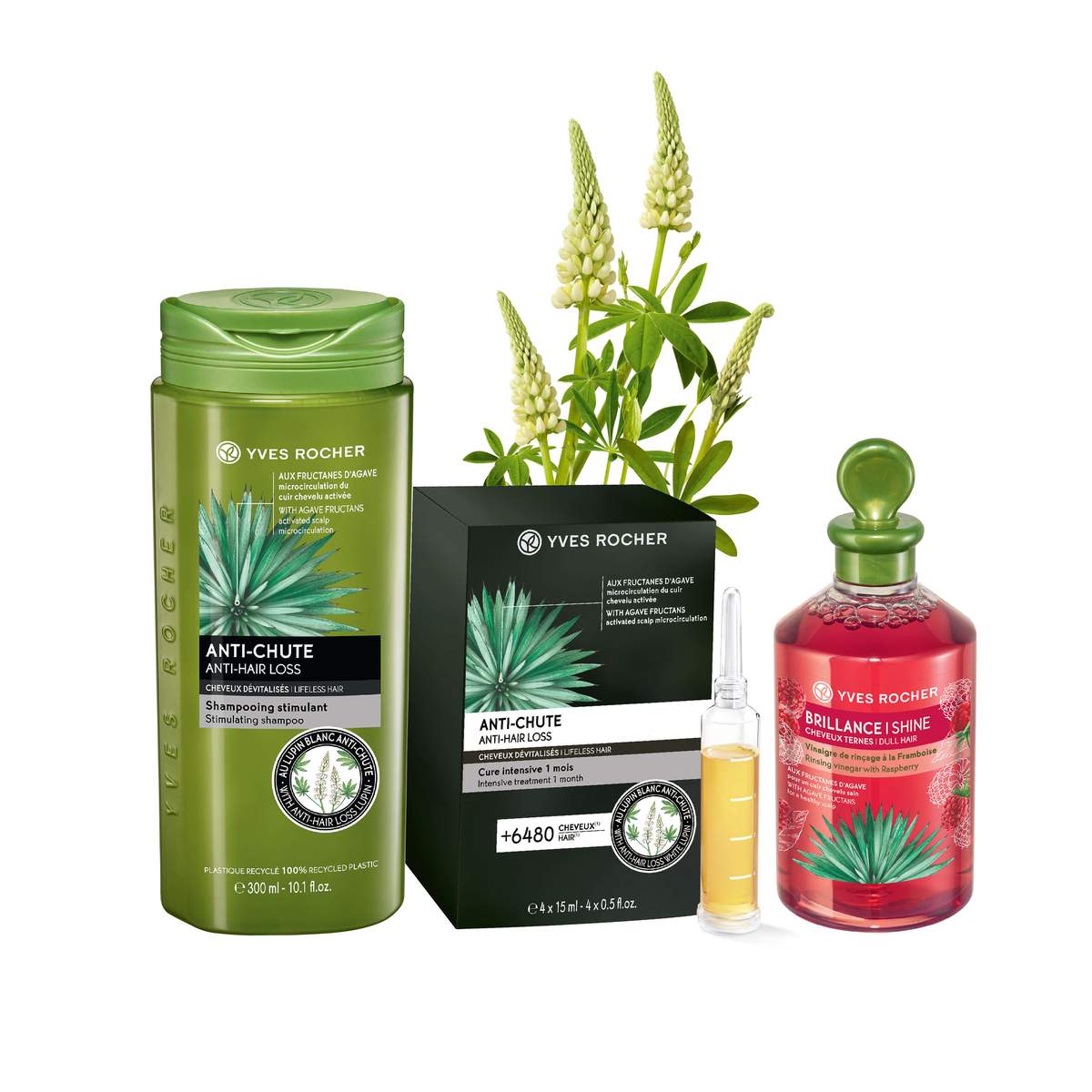 Anti-Hair Loss
