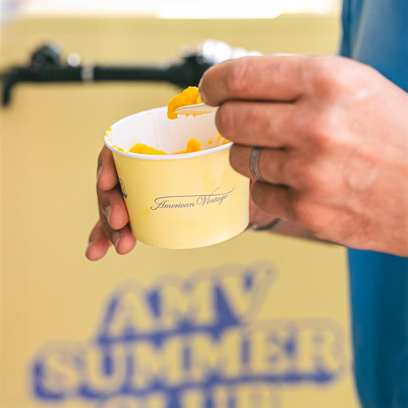 American Vintage ice-cream Distribution, Celebrating 20 Years