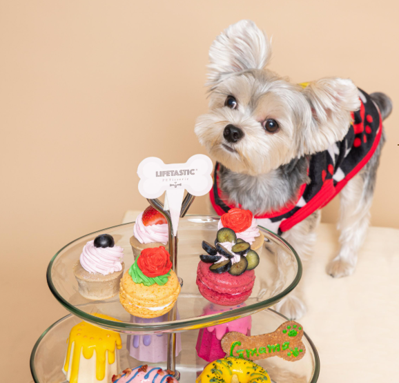 Purchase 1 set of "PET Petite Bundle" at HK$265 (Fashion Walk Exclusive) @ LIFETASTIC PETisserie