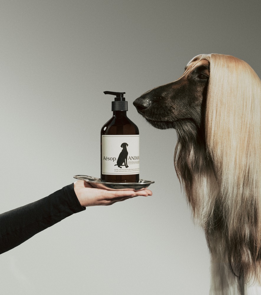 Aesop Paw Parlour